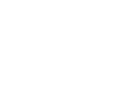 Evolution games at Spin Palace Online Casino