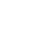 NetEnt games at Spin Palace Online Casino